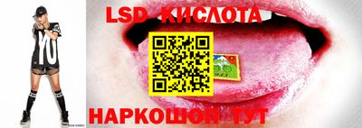 крисы Вышний Волочёк