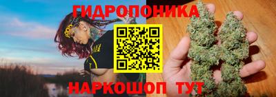 apvp Вязники